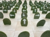 99%cactus_detail_03
