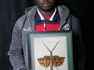 My Favourite Insect